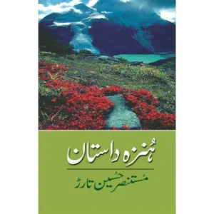 Hunza Dastan - ہنزہ داستان by Mustansar Tarar