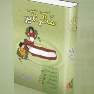 Munkir Nakeer by Moeen Akhtar Naqvi