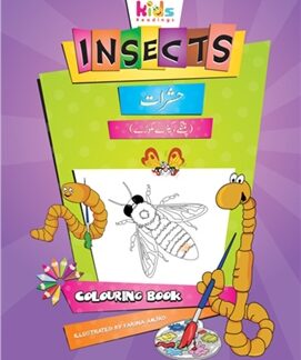 Insects: Colouring Book