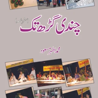 چندی گڑھ تک | محمد اطہر مسعود