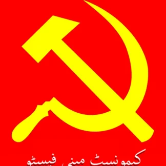 کیمونسٹ مینی فیسٹو | The Communist Manifesto | Paper Bag