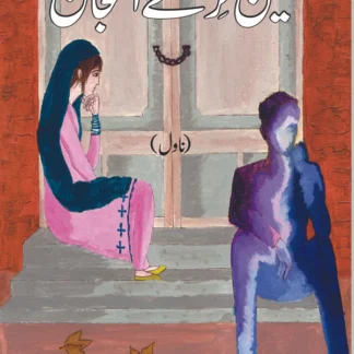 نین ترے انجان | ناول | کنول بہزاد