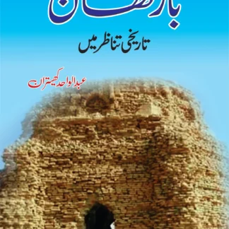 بارکھان تاریخی تناظر میں | BARKHAN TARIKHI TANZIR MEIN | ABDUL WAHID