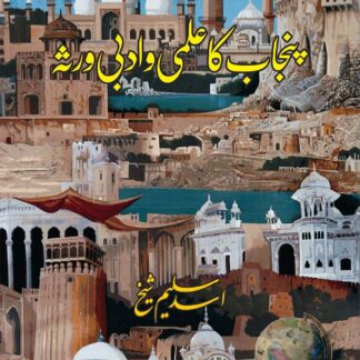 پنجاب کا علمی ادبی ورثہ | PANJAB KA ILAMI ADBI VIRSA