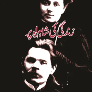 زندگی کی شاہراہ پر | آپبیتی | Maxim Gorky