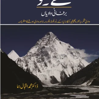 سفرنامہ کے ٹو | Safar Namah K2