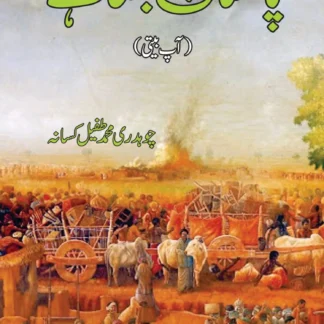 پاکستان بنتا ہے | PAKISTAN BANTA HAI | CH. M TAUFAIL KASSAN