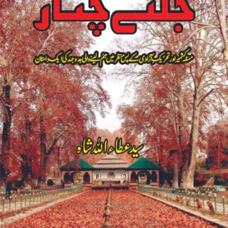 جلتے چنار | ناول | سید عطا اللہ شاہ | Jalty Chinar
