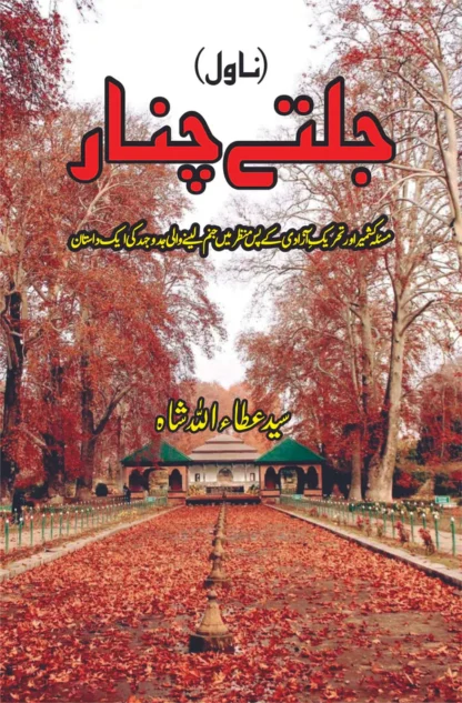 جلتے چنار | ناول | سید عطا اللہ شاہ | Jalty Chinar