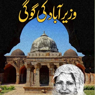 وزیر آباد کی گوگی | Wazirabad Ki Gogi