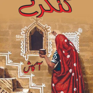 کنگرے | پنجابی ناول | آکاش