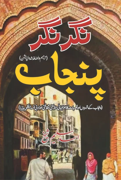 /nagr-nagr-punjab