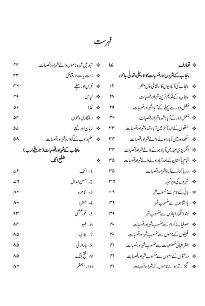 /nagr-nagr-punjab - Image 2