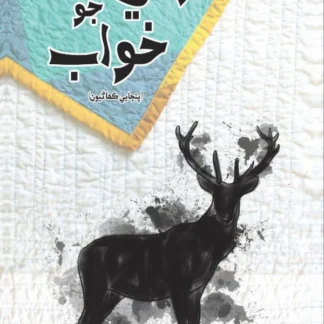 Rani JooN Khawab | Mudassar Bashir | Yaseen Junijo